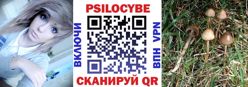 купить Орск Галлюциногенные грибы GOLDEN TEACHER
